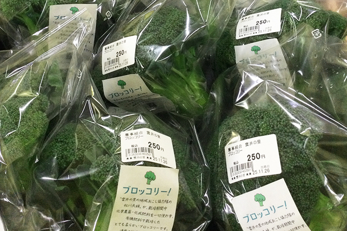 ブロッコリー01