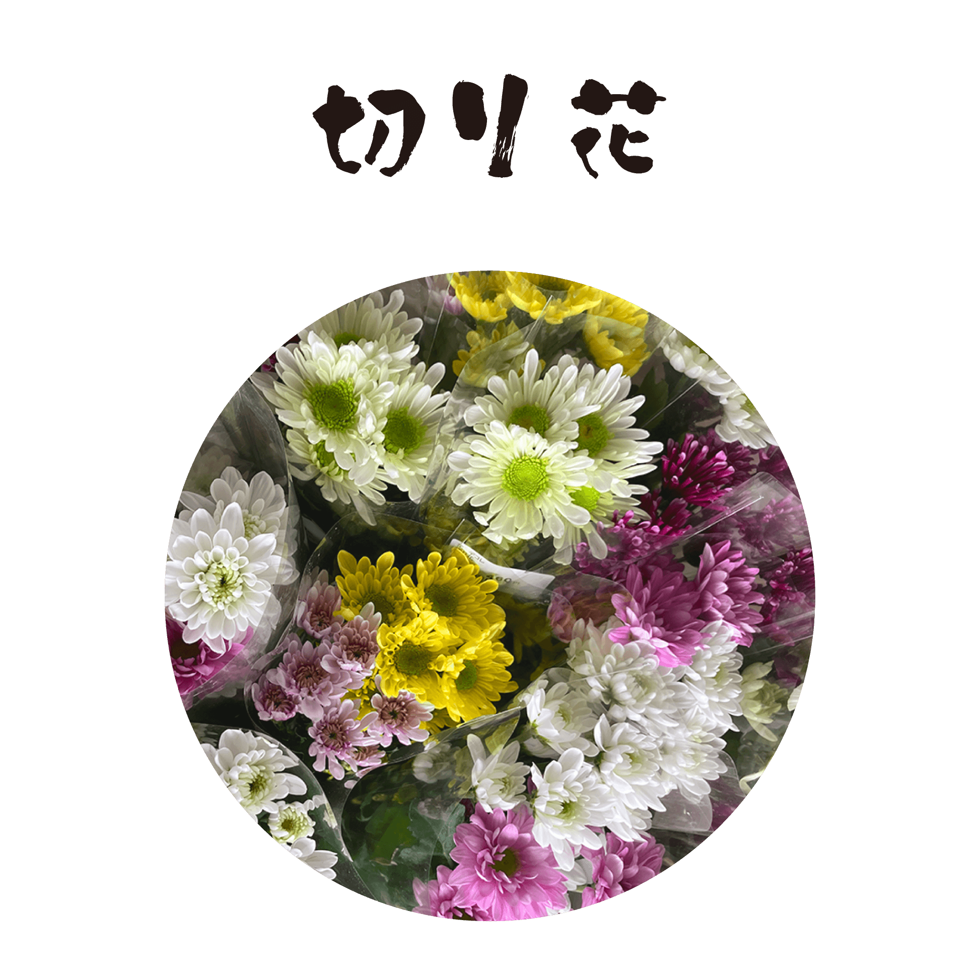 切り花