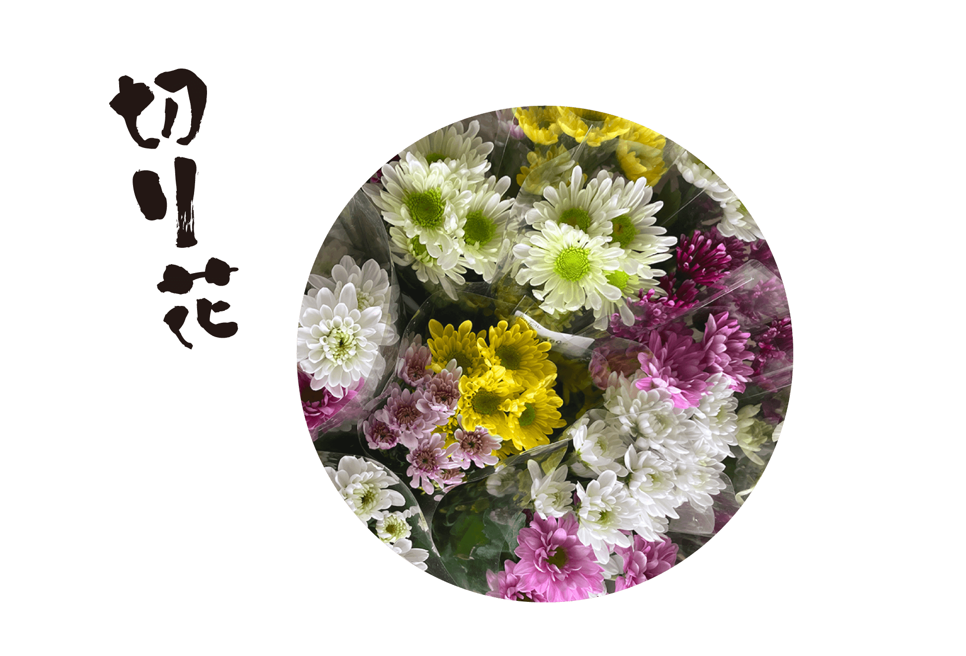 切り花