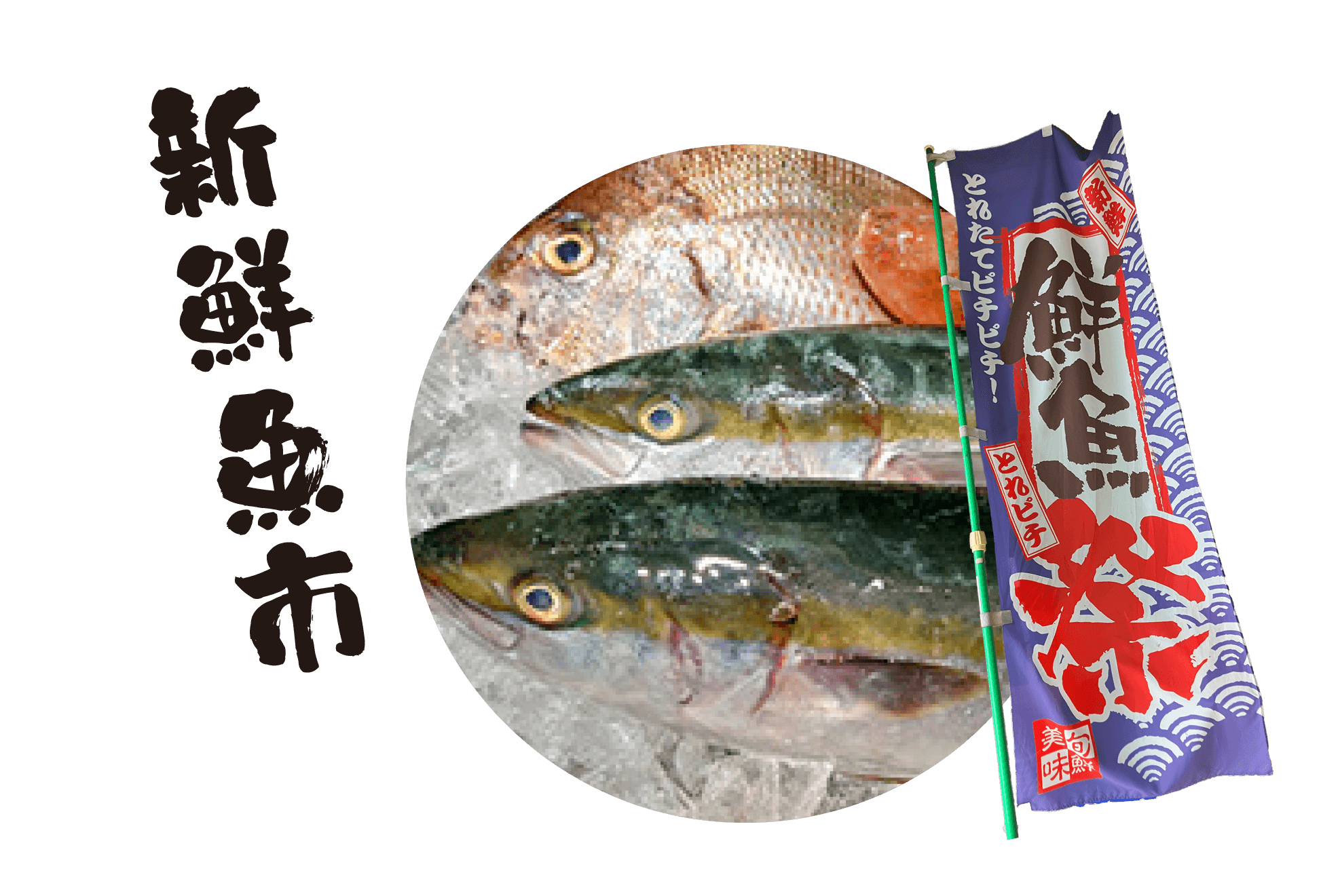 魚