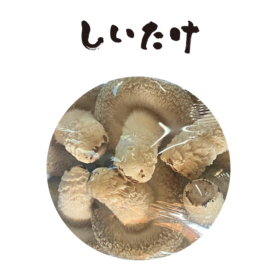 しいたけ