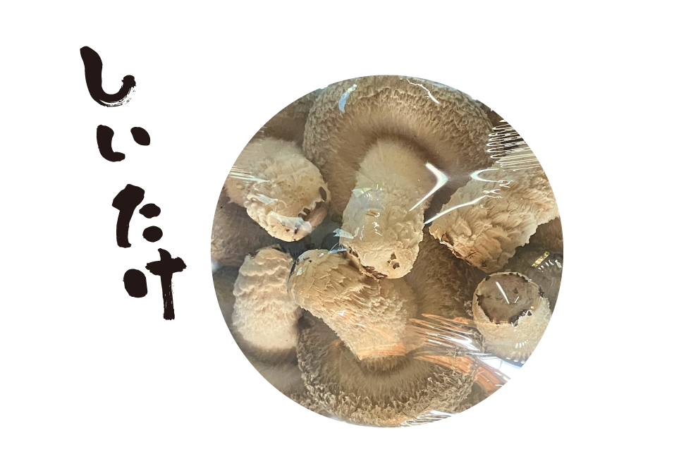 しいたけ