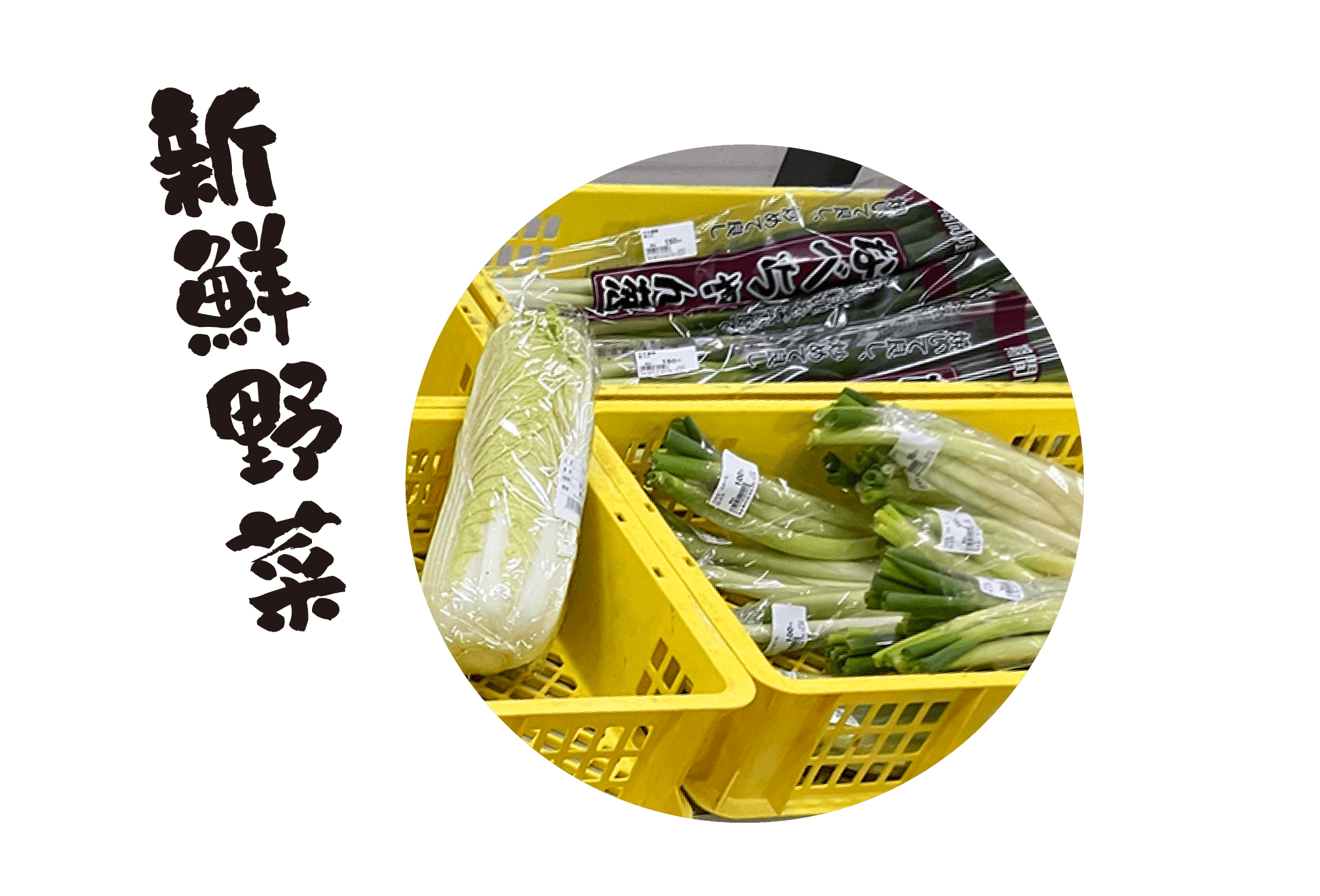 新鮮野菜-1