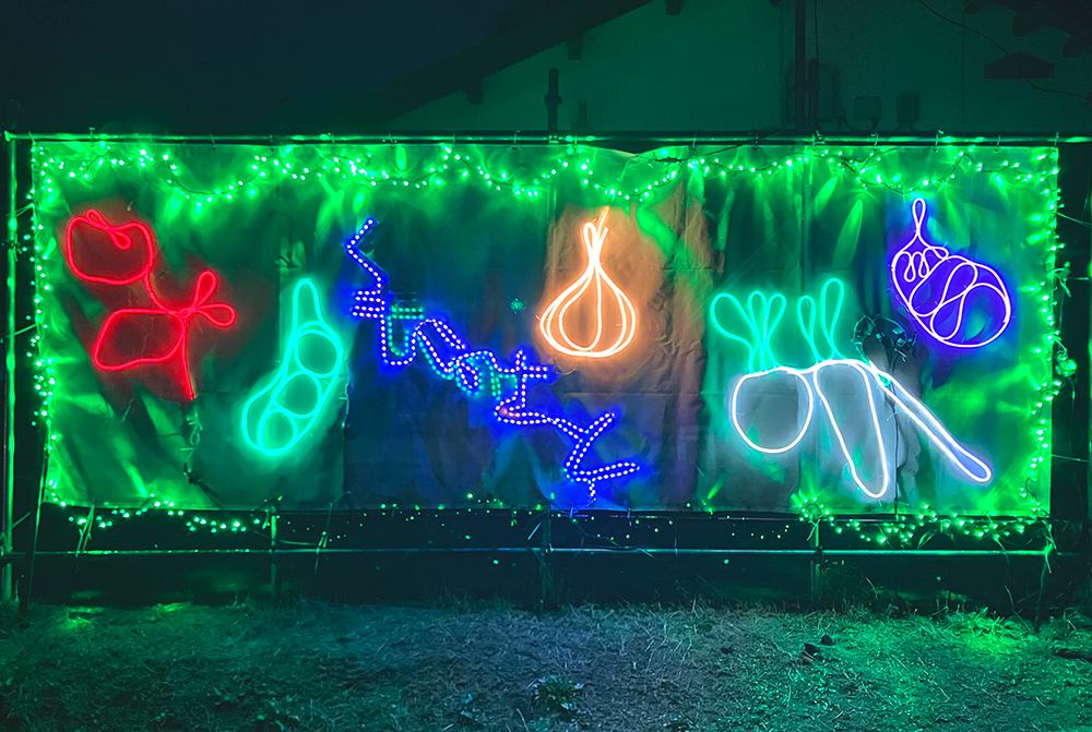 邑南町 雲井の里 イルミ