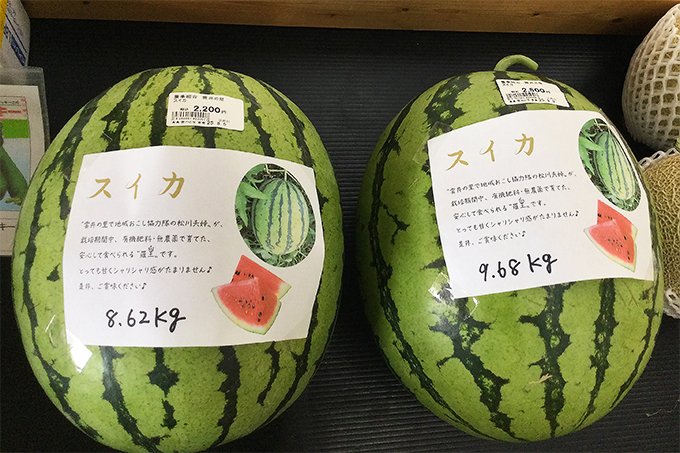 スイカ-1